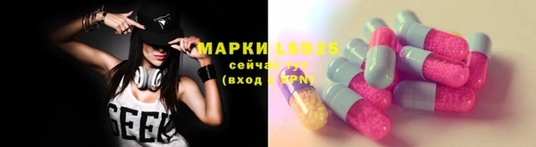 тгк Лагань
